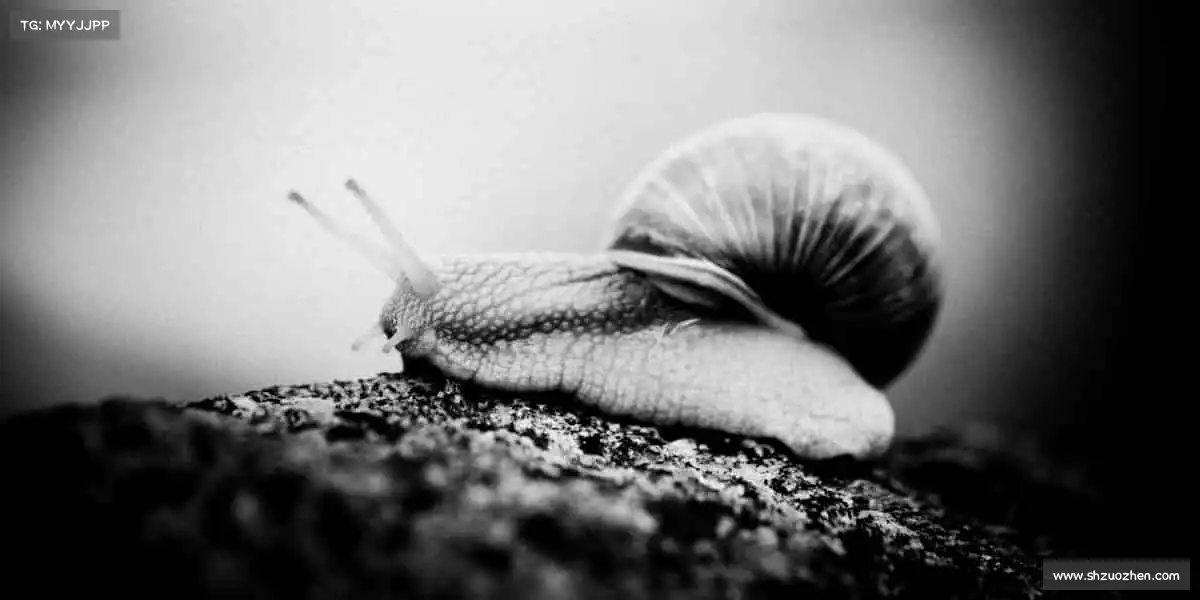 我们的品牌价值